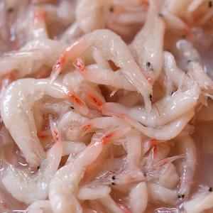 토굴 숙성 국산 광천 새우젓 육젓 추젓 오젓 김장용 반찬용 새우젓갈