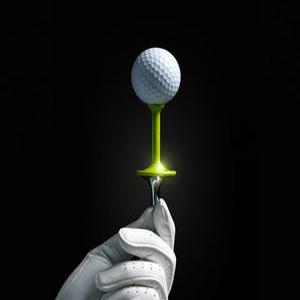 메탈 아이언 골프티 꽂이 높이고정  티꽃이 드라이버 티샷 골프용품 악세사리