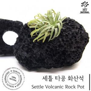 세틀 타공 화산석 S M/수족관 어항 화분 식물 장식품 돌 수초 포트 나나 레이아웃 모스 활착 인테리어 소품
