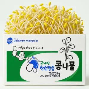 [무농약 국산콩] 산소 콩나물 3kg