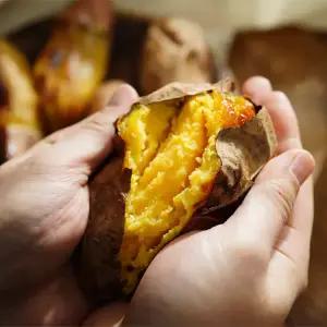 해남 황토 햇 세척 꿀고구마 5kg 중 50-120g 베니하루카