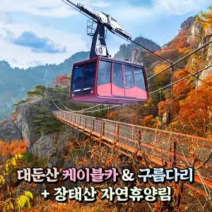 [전북] 완주 대둔산 케이블카 / 구름다리 + 장태산 자연휴양림 가을단풍 당일여행 / 서울경기出