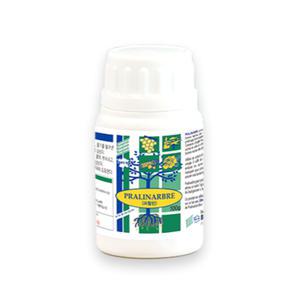 프랄린 파우더 100g 삽목 뿌리 루팅 발근제 촉진 영양제