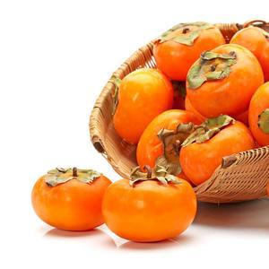 상주 햇 둥시감  중소과 4kg (80-140g/30-50과내외)/곶감/홍시 만들기