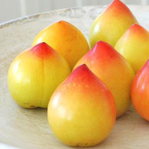 [기타][나무인] 젤리하트 자두나무 묘목