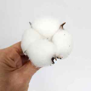 조화 목화머리 10송이 목화솜 리스재료 목화