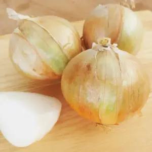 [해남미소] (주)정가 농업회사법인 25년 저장용 햇 양파 4kg/4.5kg