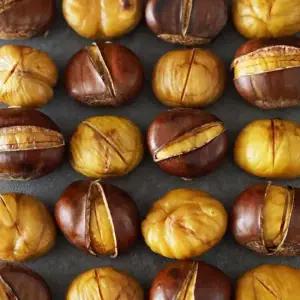 까기쉬운 생율밤 1kg