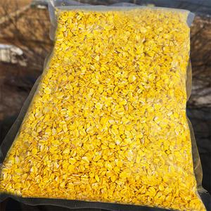 도원피싱 대용량 황금보리 압맥 1.5kg 벌크 노란압맥 감성돔밑밥 원투 카고 집어제