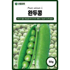 산들마켓 완두콩 씨앗 50g 무지주 재배가 가능한 스파클 완두콩씨 종자