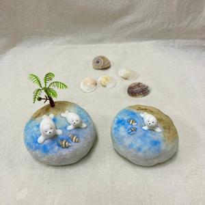 물개 바다 수제 비누 만들기 5인 diy 제로웨이스트 키트