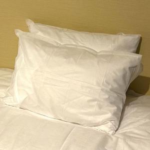 [JHQSHUJQ_52CZ]여행 배개 일회용 일회용배게커버 커버