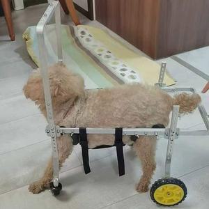 애견 강아지 4륜 보행기 바퀴 쓸개골 레드 보더 중형견 4륜보행기 사츠마 노견