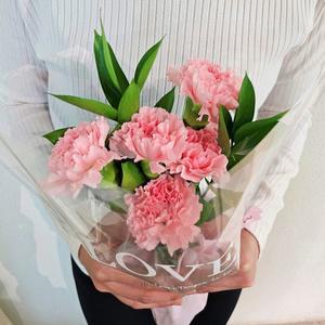 꽃같은하루 카네이션 루스커스 생화 포장 꽃다발 어버이날 스승의날 꽃 선물 택배