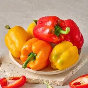 국내산 파프리카 못난이 2kg