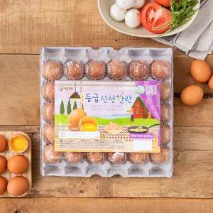 오늘반찬은 1등급 신선한란 30알 (특란)