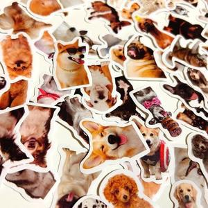 고품질 다이어리 꾸미기 강아지스티커 100종 벽 학교 (WFHTTOF)
