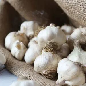 [산지직송] 황토 무안 통마늘(대서)/대5kg