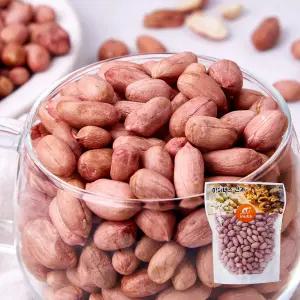신선하고 고소한 국내산 생땅콩 날땅콩 500g+500g (총1kg)