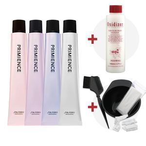 시세이도 프리미언스 염색약 80g+산화제 150ml (셀프염색 시술도구 포함)