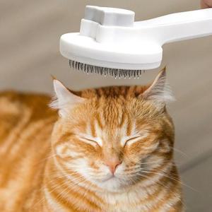 고품질 강아지털빗 강아지 고양이 털제거 브러시 빗 애견빗 강아지털제거기 강아지미용빗 (WFI3J71)