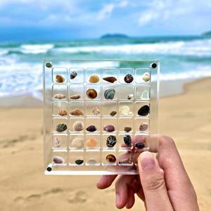 노리스  아크릴 보석함 콩알금 조개 비즈 주얼리 케이스 미니 악세서리 보관함