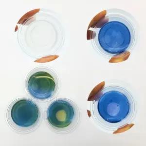 녹말분해 소화 효소 아밀레이스 실험(5인용)