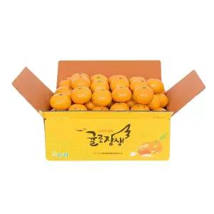 제주농협 귤로장생 하우스감귤 2.5kg x1박스 소과
