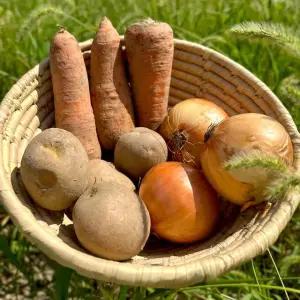 뿌리채소세트 2kg (당근+감자+양파)