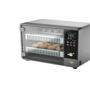 메추리 병아리 국산 종란 병아리부화기 단일 가정용 키우기