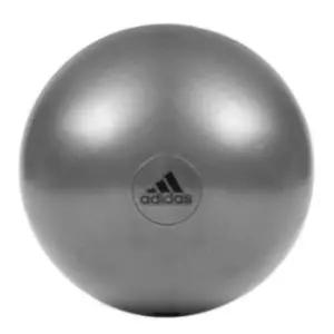 아디다스 짐볼 임산부 코어 요가 운동 55cm 그레이 BNS