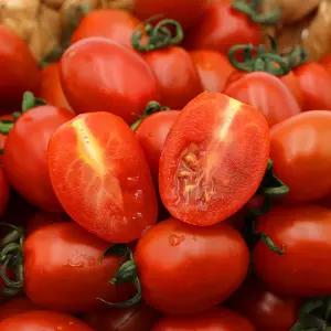 탱글 달콤 대추 방울토마토 로얄과 2kg