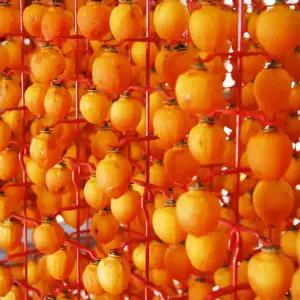 신형 곶감걸이 세트 빨간색 (감500개용) /꼭지핀500개포함 (꼭지핀 색상 랜덤발송)