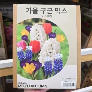 코스트코 가을 구근 믹스 30개 튤립 무스카리 크로커스 히아신스 추식 알뿌리 종자 꽃 씨앗