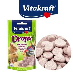 비타크래프트 와일드베리 드롭스 75g/소동물간식