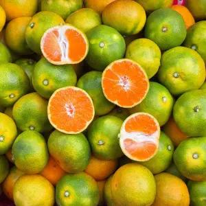 제주 노지 감귤 유라조생귤 로얄과 (2S~M) 가정용 대용량 5kg (43~72과)