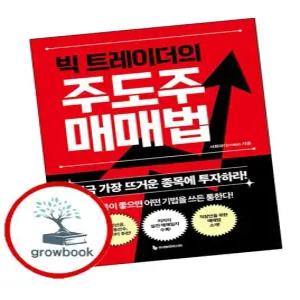 빅 트레이더의 주도주 매매법 빅트레이더의주도주매매법 추천도서