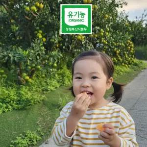 제주 유기농 노지 감귤 친환경 극조생 햇 귤 산지직