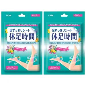 휴족시간 쿨링시트 6개입 2개