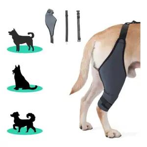 강아지 보호 대 탈구 밴드 애견용품 산책 M 슬개골 무릎 보조기 건강