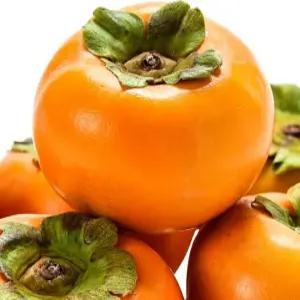 달달한 진영 부유 단감 10키로 첫 출하 50박스 한정