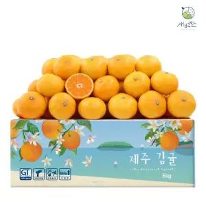 [첫출하!] 노지 극조생 감귤 9kg 대과 (L-2L)