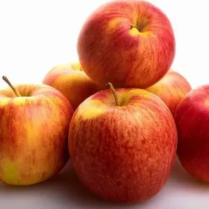 개별포장 경북 세척부사사과 4kg (28과내외) 가정용