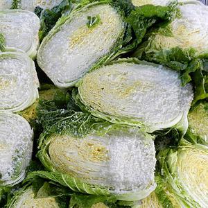 [지정일발송] HACCP 해남 김장 절임배추 20kg (7-10포기)