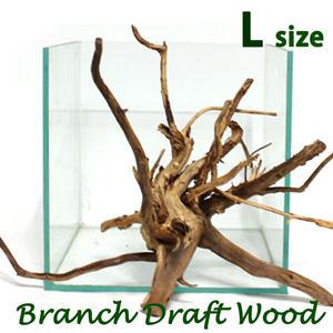 수족관 가지유목 L (25~35cm) / 수족관 어항 수조 장식 장식품 모스 활착 수초 나무 꾸미기 레이아웃 열대어 관상어 구피