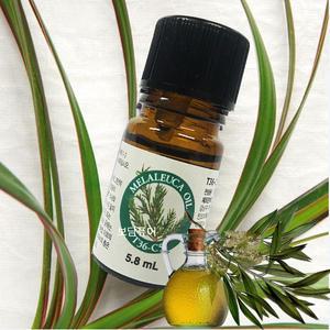 멜라루카 오일 T36-C5 5.8ml 일반피부 소용량
