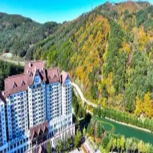 [강원] 용평 리조트(강원호텔/평창호텔/평창용평 리조트)