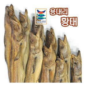 용대리 통황태 10미 특왕 / 47cm이상