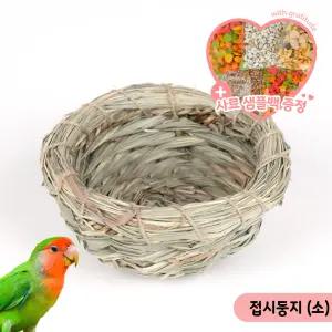 접시둥지(소) 앵무새 둥지 짚둥지 소형새 번식 부화