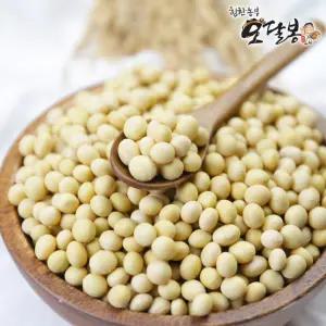 국산 백태 대원콩 메주콩 대두 두부콩 2kg